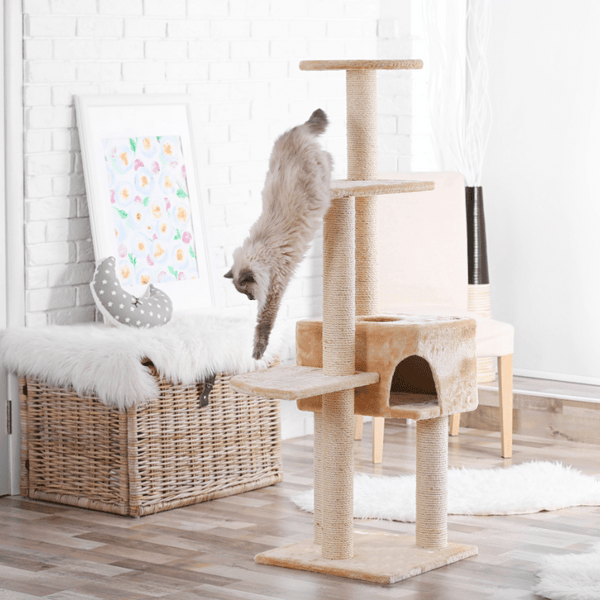 The Necessity of Cat Tree Scratchers: A Guide by J & J PET CLUB - J & J Pet Club