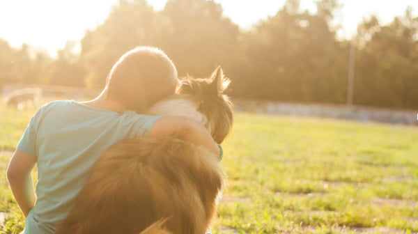 The Wonderful Rewards of Dog Ownership: Health, Happiness and More - J & J Pet Club