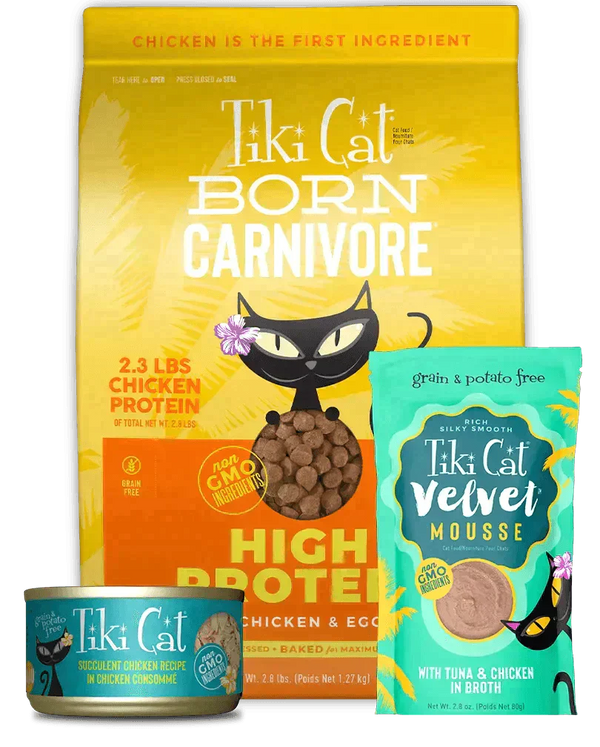 Tiki Cat: A Complete Brand and Product Line Review - J & J Pet Club