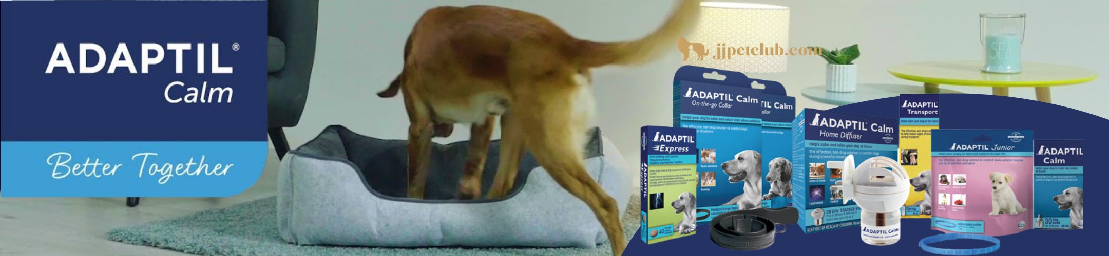 ADAPTIL | J & J PET CLUB – J & J Pet Club