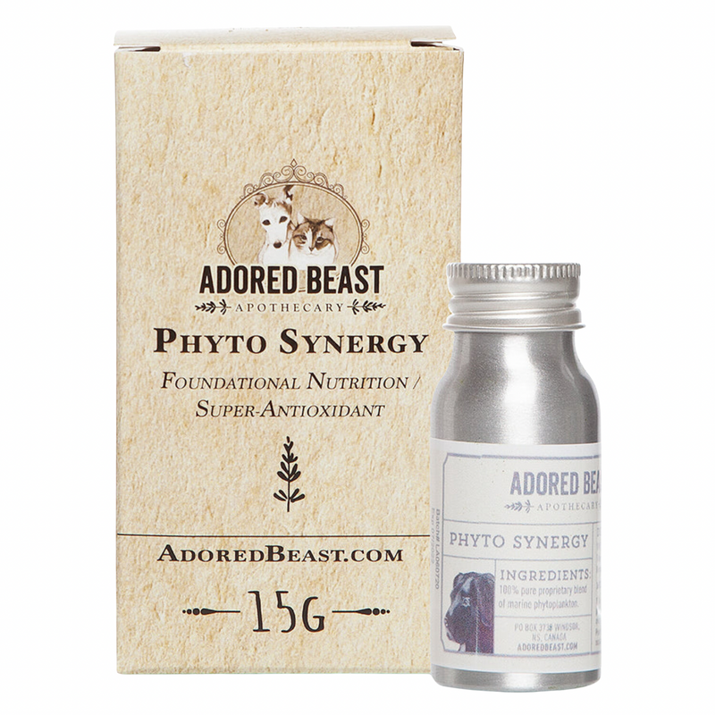 Dog & Cat Supplement - Phyto Synergy - Super Antioxidant