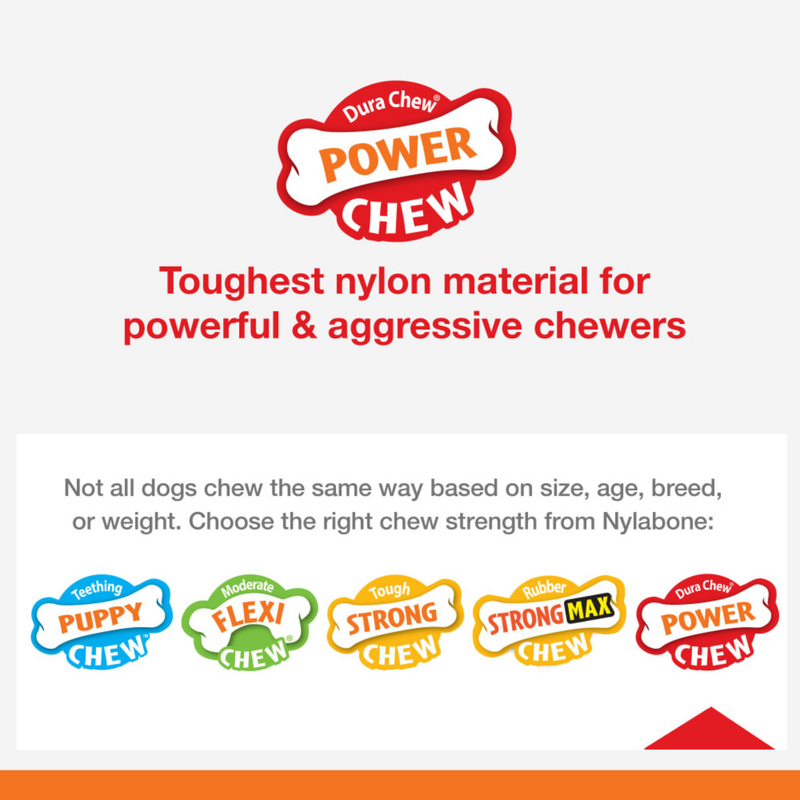 Dog Chewing Toy - POWER CHEW - Textured Ring (Flavor Medley)