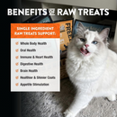 Freeze Dried Treat for Dogs & Cats - RAW REWARDS - Salmon - 2.5 oz