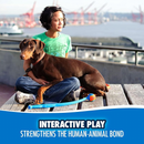 狗狗玩具 - 经典发球器 - 26M