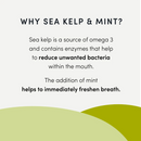 Natural Dental Dog Treat - Plaque Busters Advanced Double Fresh Dental Sticks, 7" (10 pcs)