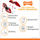 Jouet à mâcher de chien - solide mâle - Cône à mâcher costaud (saveur de bacon)