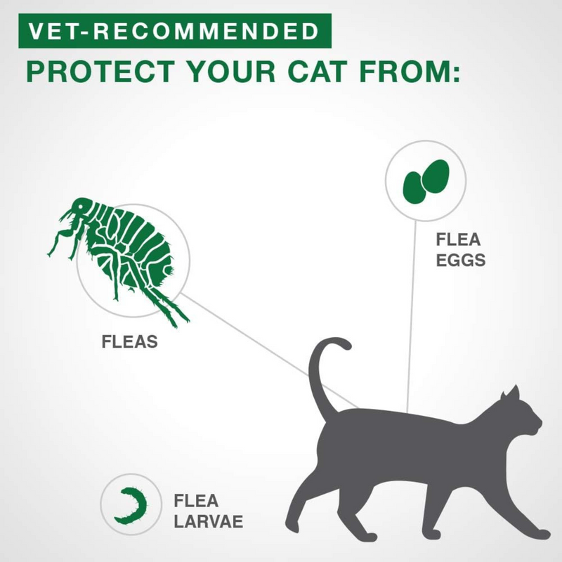 Advantage II, Vet-Recommended Flea Treatment & Prevention For Small Cats (2.3-4 kg)