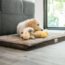 毛绒狗狗玩具 - 长颈鹿露西