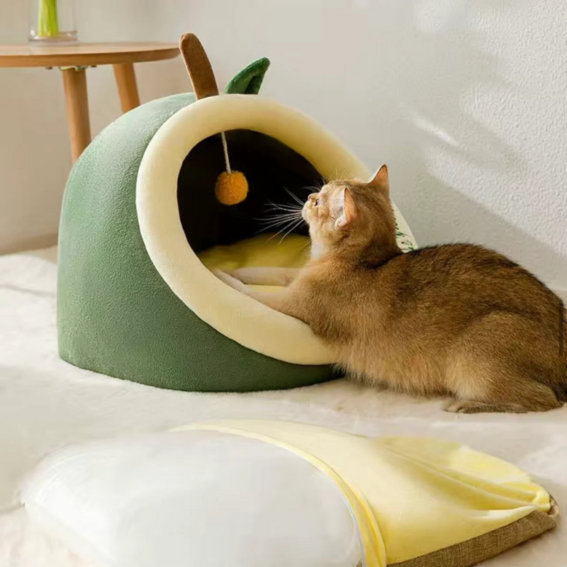 Semi-Closed Avocado Cat Bed with Cushion, Large