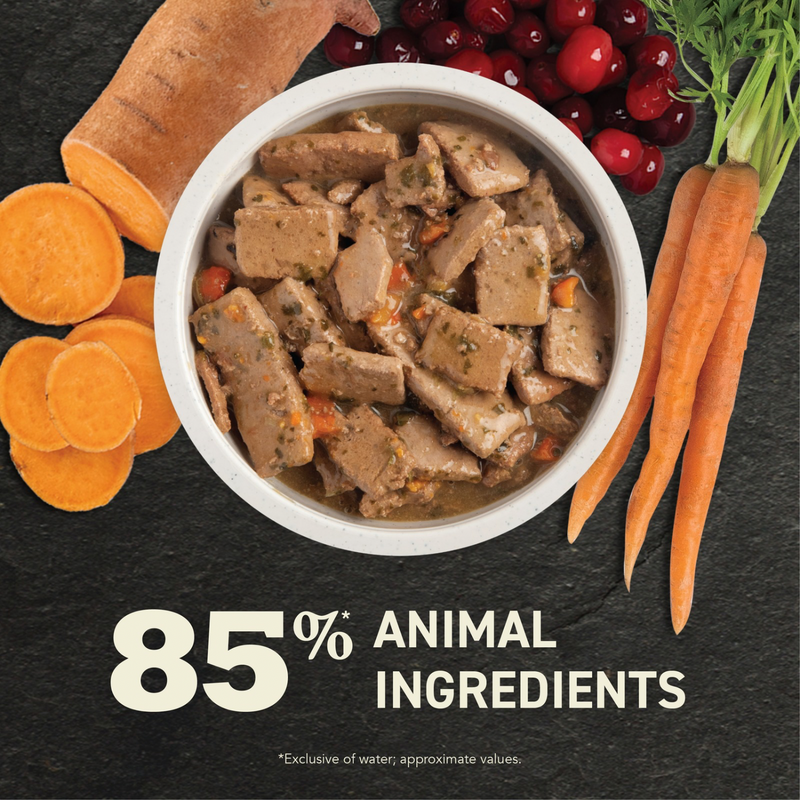 Canned Dog Food - Chunks - Beef Recipe in Bone Broth - 363 g