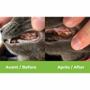 BUCO+ Dental Care For Dogs & Cats less than 15 kg