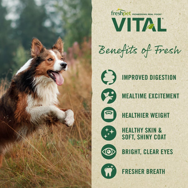 Cooked Dog Food - VITAL - Balanced Nutrition Chicken Recipe