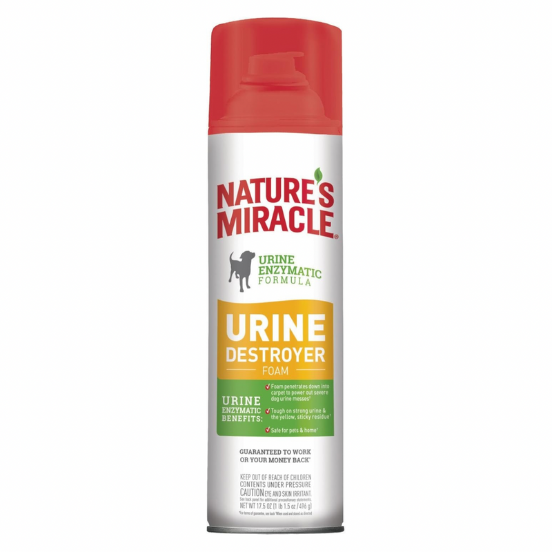 Dog Urine Destroyer - 17.5 oz Foam