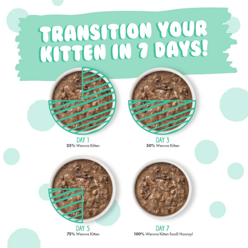 幼猫罐头 - 肉汁鸡肉金枪鱼饭