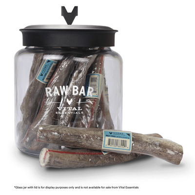 Freeze Dried Dog Treat - RAW BAR - Bully Stick - 1 pc