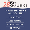 三文鱼油 - 300毫升