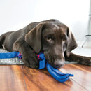 Tug and Toss Dog Toy - Tugga Wubba