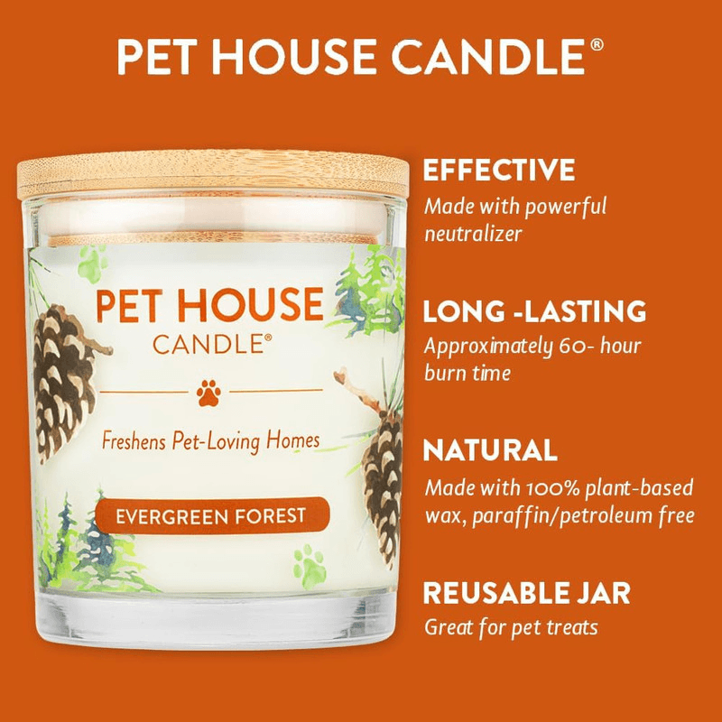 100% Plant-Based Wax Candle, Evergreen Forest - 8.5 oz - J & J Pet Club - Pet House