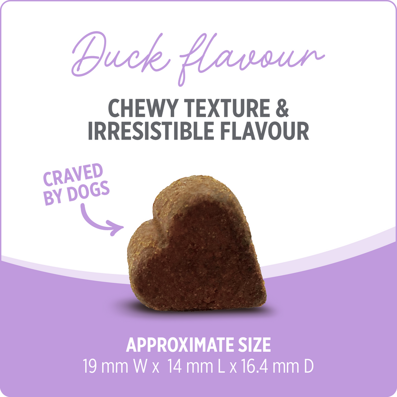 Dog Supplement - CARE - Hip & Joint - 100 chews