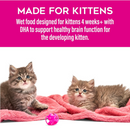 Canned Cat Food - BABY Pâté - Chicken, Tuna & Chicken Liver - Kitten