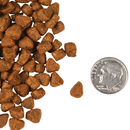 猫干粮 - Four Star - 无谷鸡肉配方