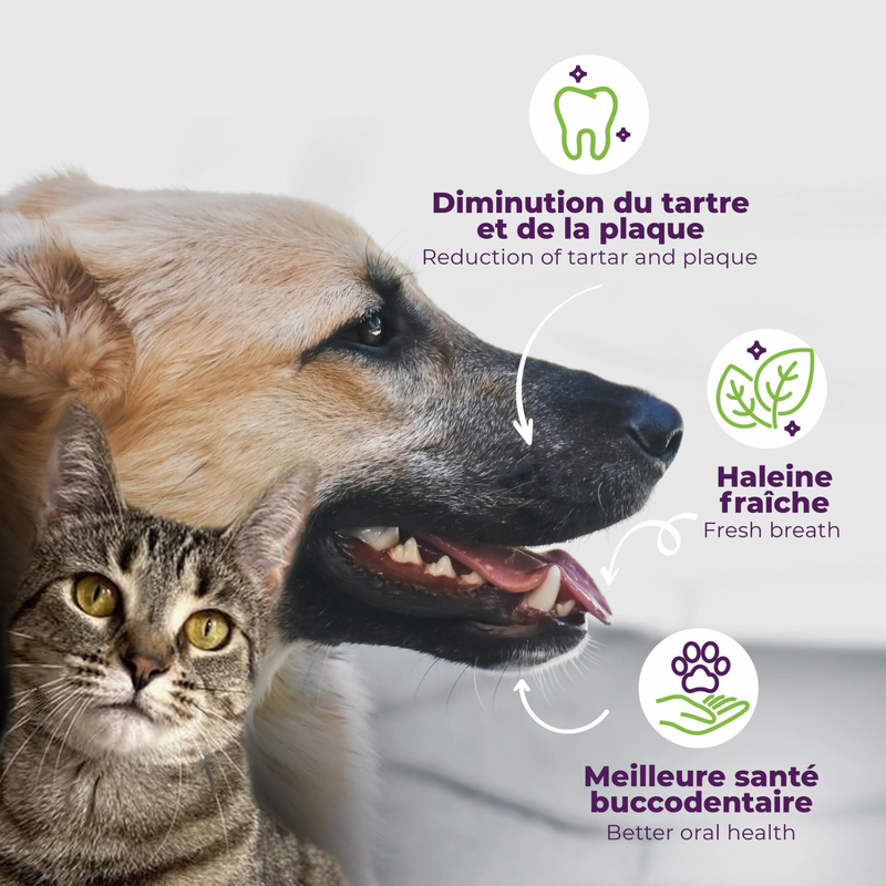 Buco + soins dentaires pour chats et petits chiens