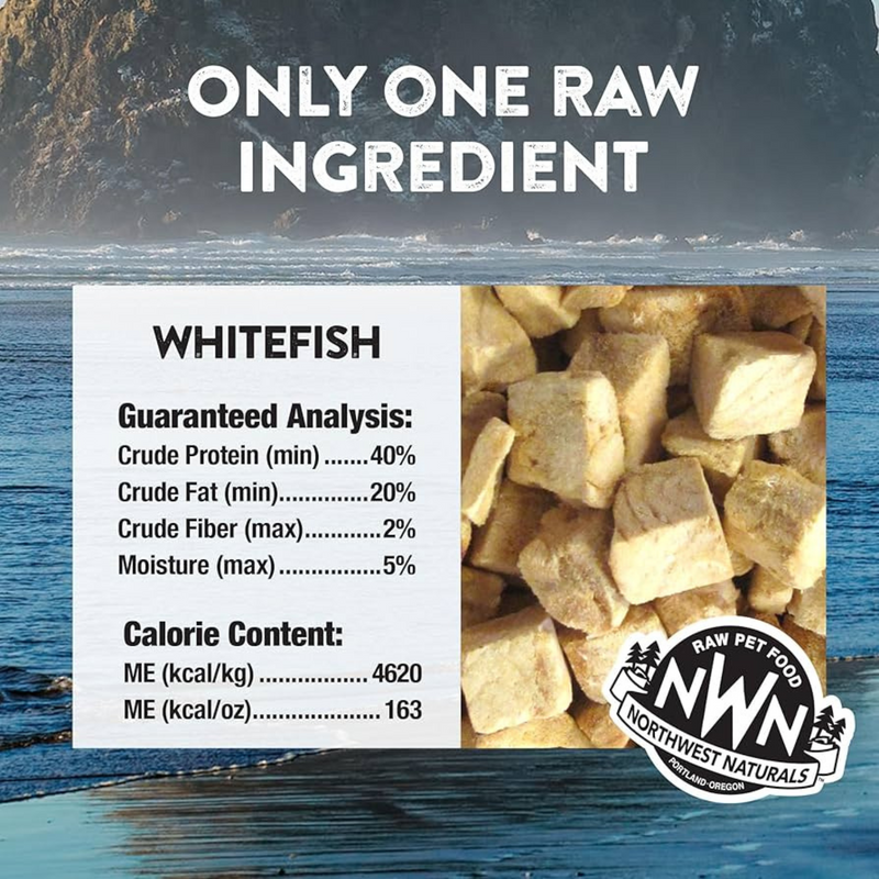 Freeze Dried Treat for Dogs & Cats - RAW REWARDS - Whitefish