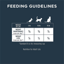 Dry Cat Food - RAW BOOST - Healthy Weight Recipe with Real Chicken - Adult