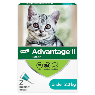 Avantage II - chaton - moins de 2,3 kg / 5 lb