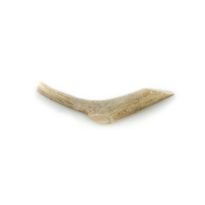 Natural Dog Chews - Whole Antler Chew