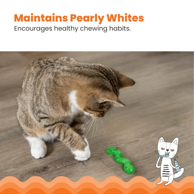 Cat Dental Toy - Orkakat Catnip Wiggle Worm
