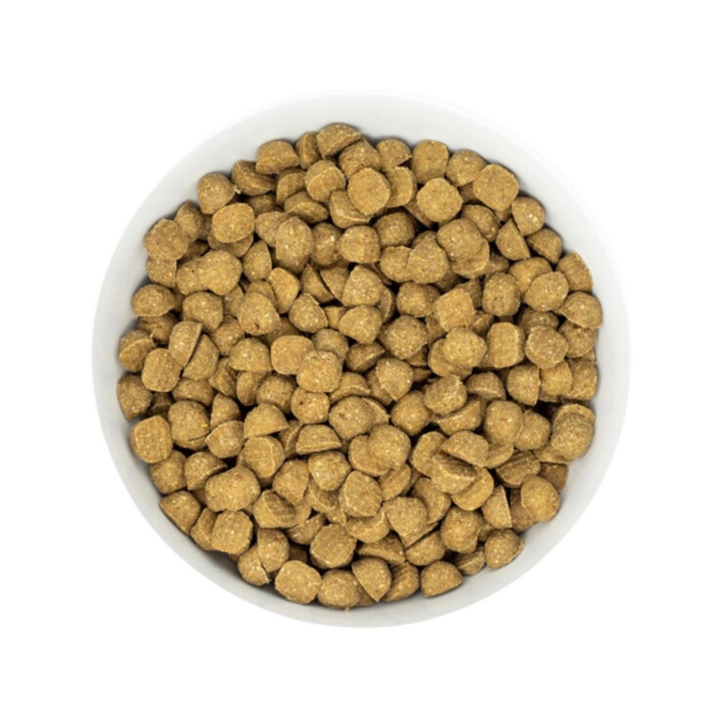 Dry Dog Food - Raw Coated - Grain Free - Beef