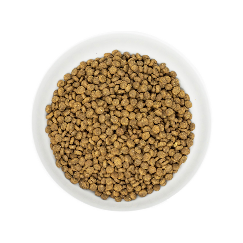 Dry Cat Food - Raw Coated - Salmon