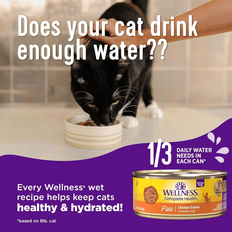 Canned Cat Food - COMPLETE HEALTH - Pâté - Chicken & Lobster Dinner - J & J Pet Club - Wellness