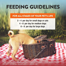 Freeze Dried Treat for Dogs & Cats - RAW REWARDS - Salmon - 2.5 oz