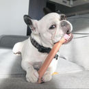 Toy Chew Chew - Puissance à mâcher - Os durable (saveur de bacon)