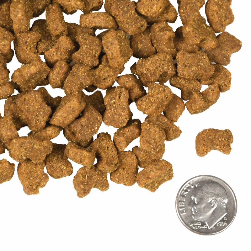 Dry Dog Food - FOUR STAR - Grain Free - Lamb & Lentil Recipe