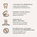 Natural Dental Dog Treat - Plaque Busters Advanced Whole Mouth Dental Sticks, 7" (10 pcs)