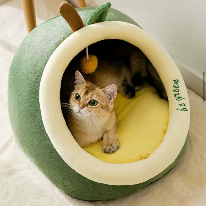 Semi-Closed Avocado Cat Bed with Cushion, Large