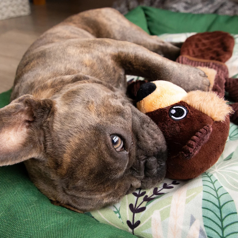 Rebuildable Dog Toy - Bernie The Beaver