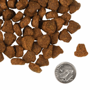 Dry Dog Food - FOUR STAR - Grain Free - Rancherosa