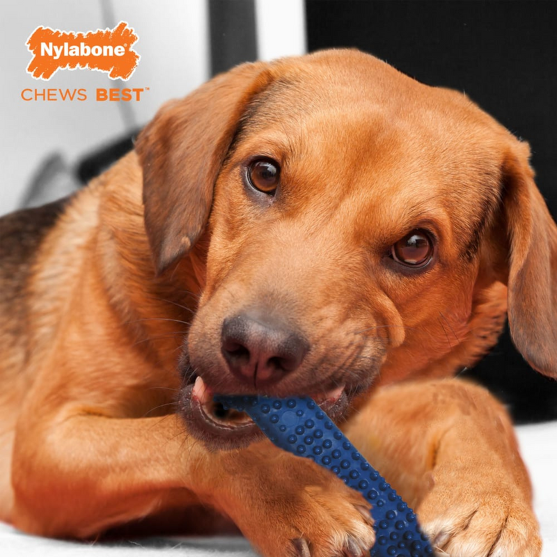 Textured Dog Dental Chew Toy - MODERATE FLEXI CHEW (Chicken Flavor)