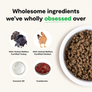 幼猫干粮 - 无谷物火鸡鸡肉配方