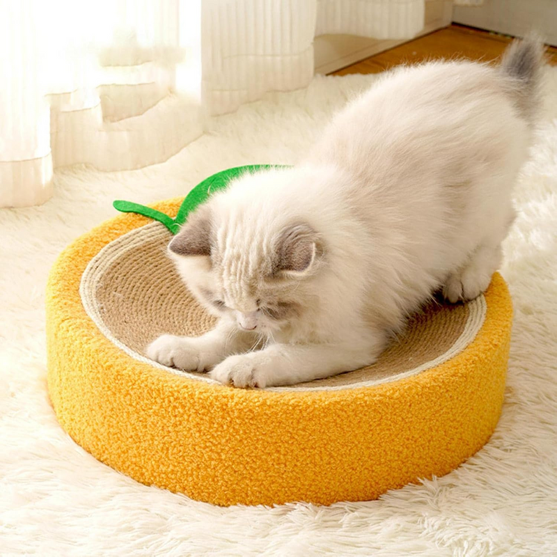 Orange Style Cat Scratching Bed