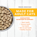 Freeze Dried Raw Cat Food - LONGEVITY - Cage Free Chicken - Adult