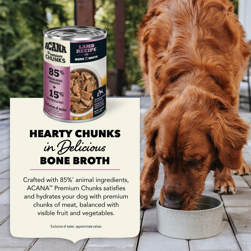 Canned Dog Food - Chunks - Lamb Recipe in Bone Broth - 363 g