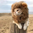 猫狗通用保暖帽 - 小狮子🦁