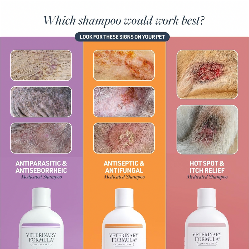 Antiseborrheic shampoo for cats hotsell