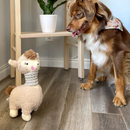 Jouets de chien en peluche - Lola les Llamas