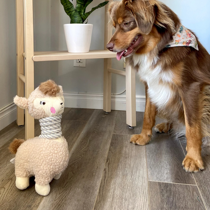 Rope Neck Plush Dog Toy - Lola The Llama